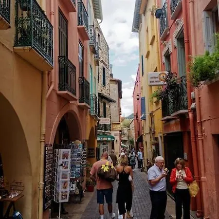 Collioure, Centre Ville, Joli T2 Exterior photo